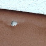 Schäden im Fassaden-Sockelputz / Spritzwasserschäden?