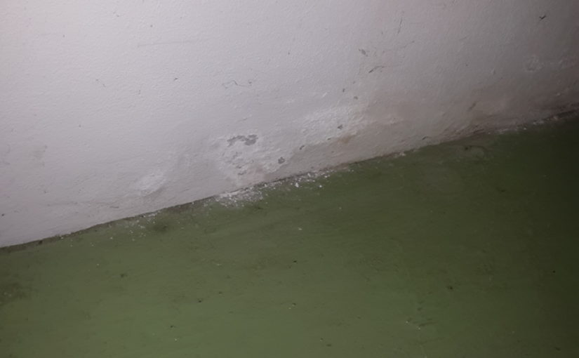 Horizontalsperre defekt? Kondensationsfeuchte? Welche andere Mauerfeuchteursachen gibt es noch?