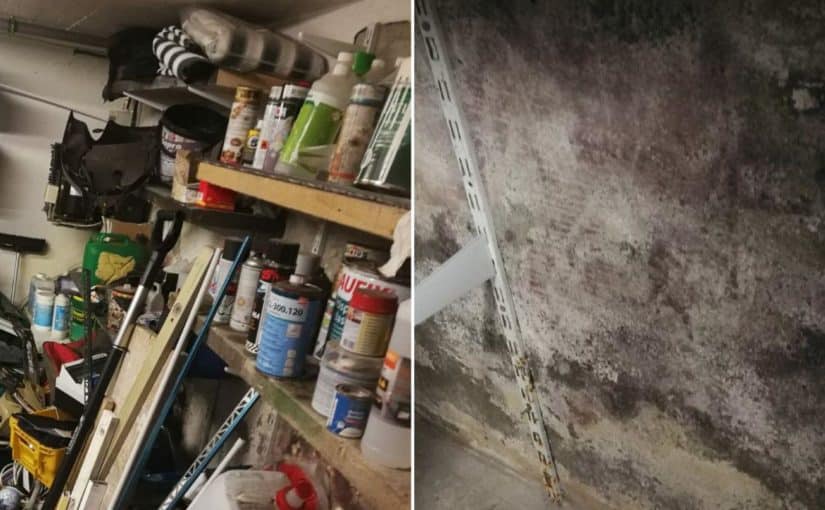 Gräßlicher Schimmelfund beim Keller aufräumen