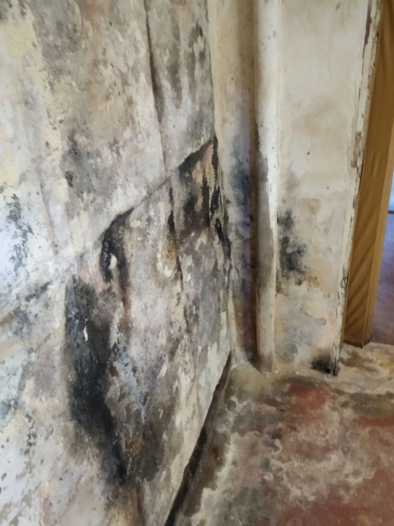 feuchte Kellerwand Holzvertäfelung abgerissen Schimmelteppich