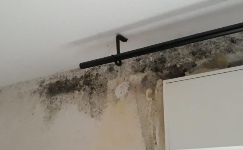 Schimmel unter Tapete, Schimmel wächst durch Tapete, Tapetenschimmel, Schimmel hinter Tapete, Schimmel auf Tapete, Tapeteschimmel, Schimmel hinter Gardinen, Schimmel hinter Vorhang, Gutachter Schimmler, Gutachter für feuchte Wände Gutachter feuchter Keller