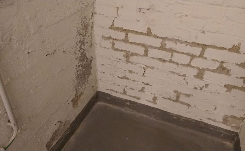 Sanierung Kellerwände innen? Salze, sandende Fugen, abplatzende Farbe