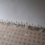 Keller abdichten - Injektionsverfahren?