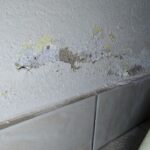 Lösung für feuchte Wände?</br>Was tun?
