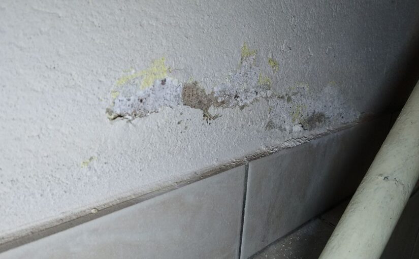 Lösung für feuchte Wände was tun, feuchte Wände was tun, Wand feucht was tun, Salpeter