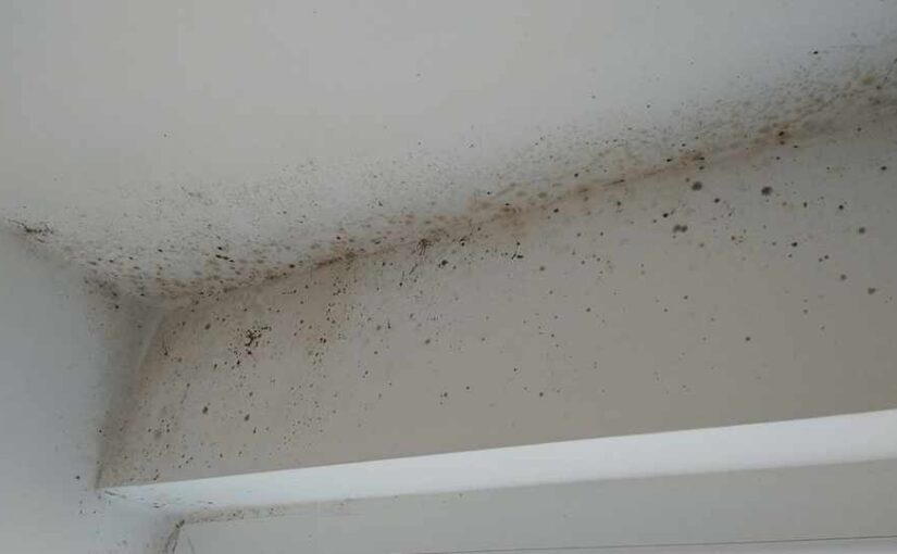 Schimmel? Stoßlüften Pflicht? 1 Stockflecken Schimmel über Fenstersturz Schimmel Stoßlüften Pflicht?