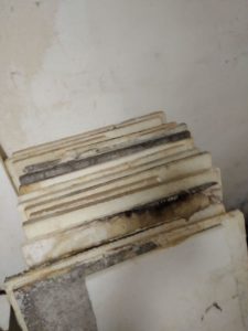 Styroporplatten welche hinter einer Holzvertäfelung im Keller eingbaut waren - völlig verschimmelt, Ursache feuchter Keller, undichte Kellerabdichtung