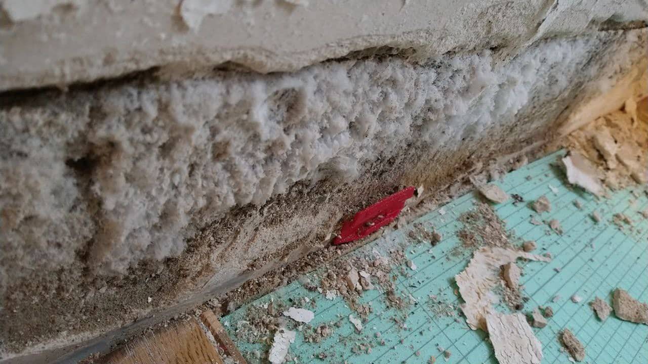 Wand Salpeter im Mauerwerk, Salpeter im Keller blüht aus Wand aus
